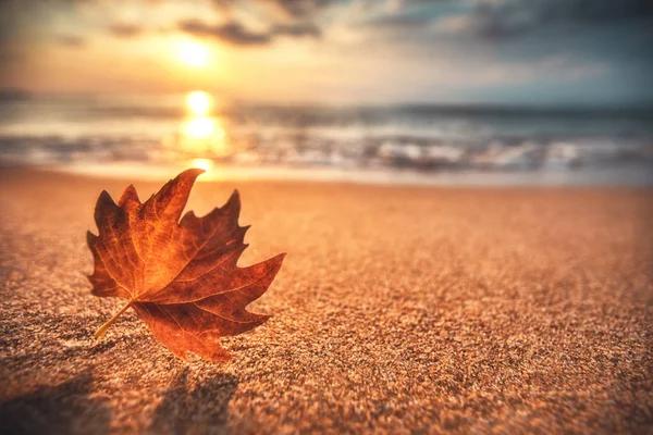 30% Otoño Dorado en los Cabos Grand Solmar The Residences Cabo San Lucas 30% Otoño Dorado en los Cabos Grand Solmar The Residences Cabo San Lucas